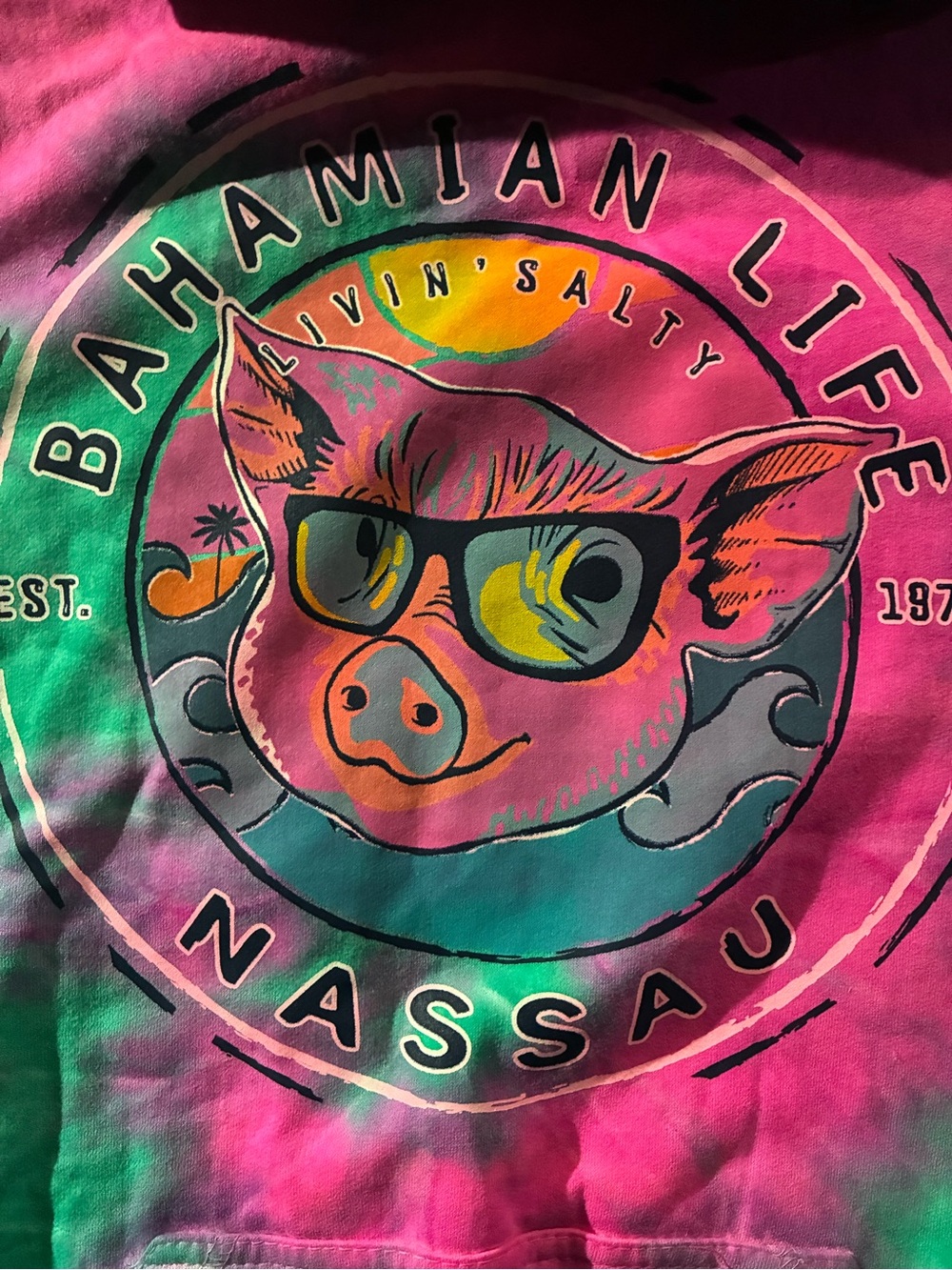 & Other Stories Pink And Green Tie-Dye Bahamian Life Nassau Hoodie View 2